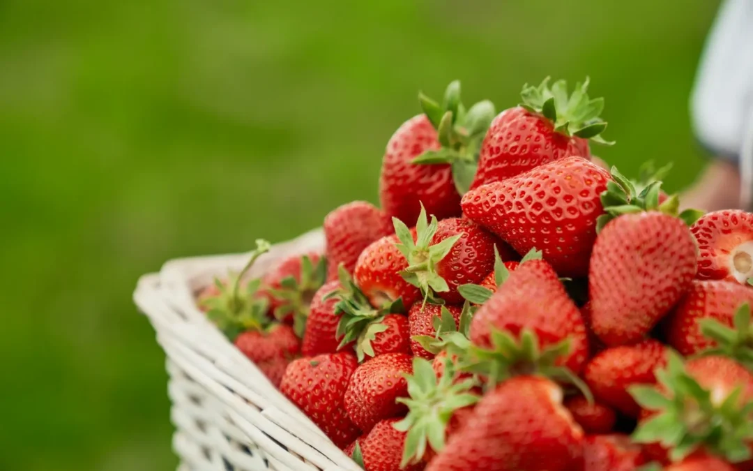 Fakta Tentang Strawberry yang Menarik dan Bisa Jadi Inspirasi Menu Bisnis